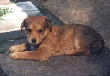 Condolence image of Brigitte