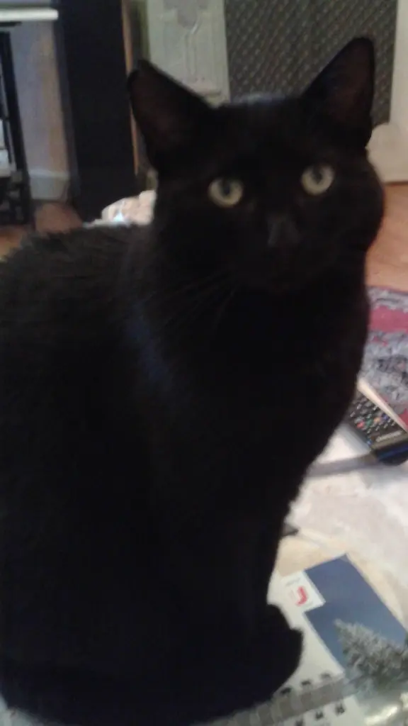 Andachtsbild von Chrissi & Mutzjen