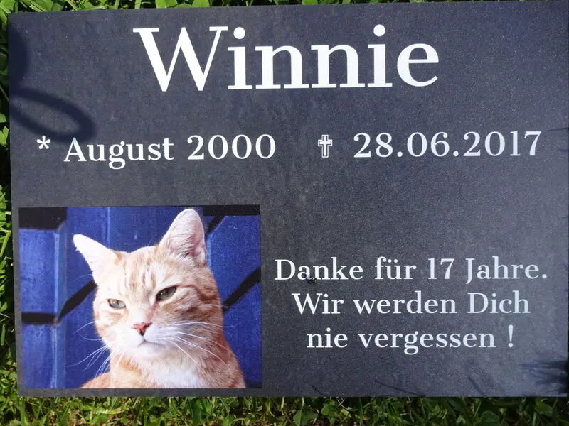 Bild von Winnie
