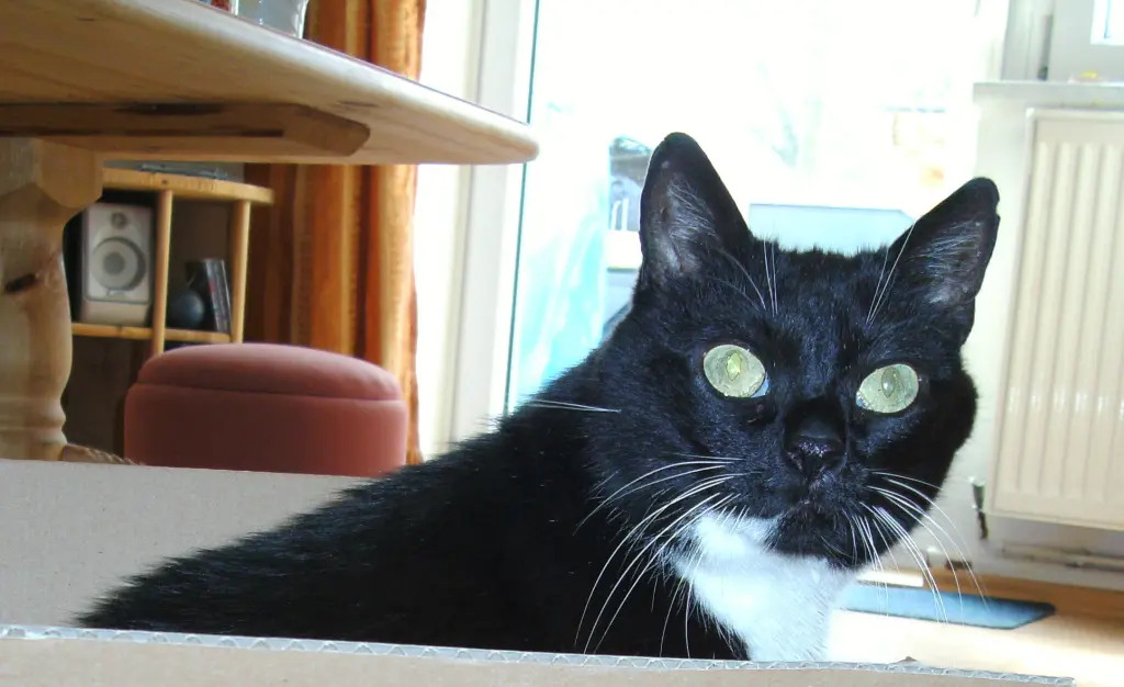 Condolence image of Jeanne Marie