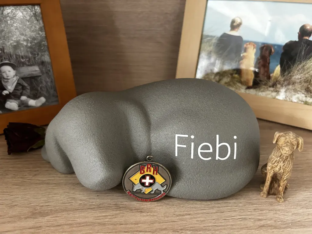 Bild von Fiebi