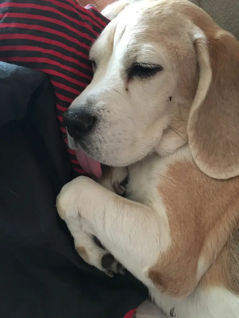 Condolence image of Tina