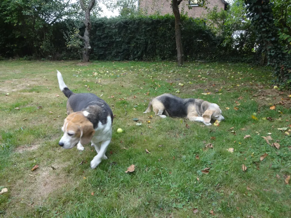 Condolence image of Thomas