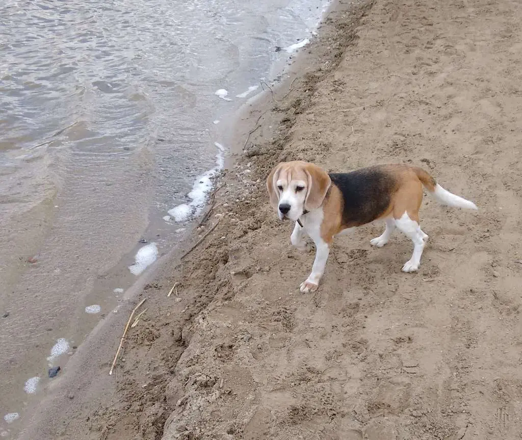 Condolence image of Michael