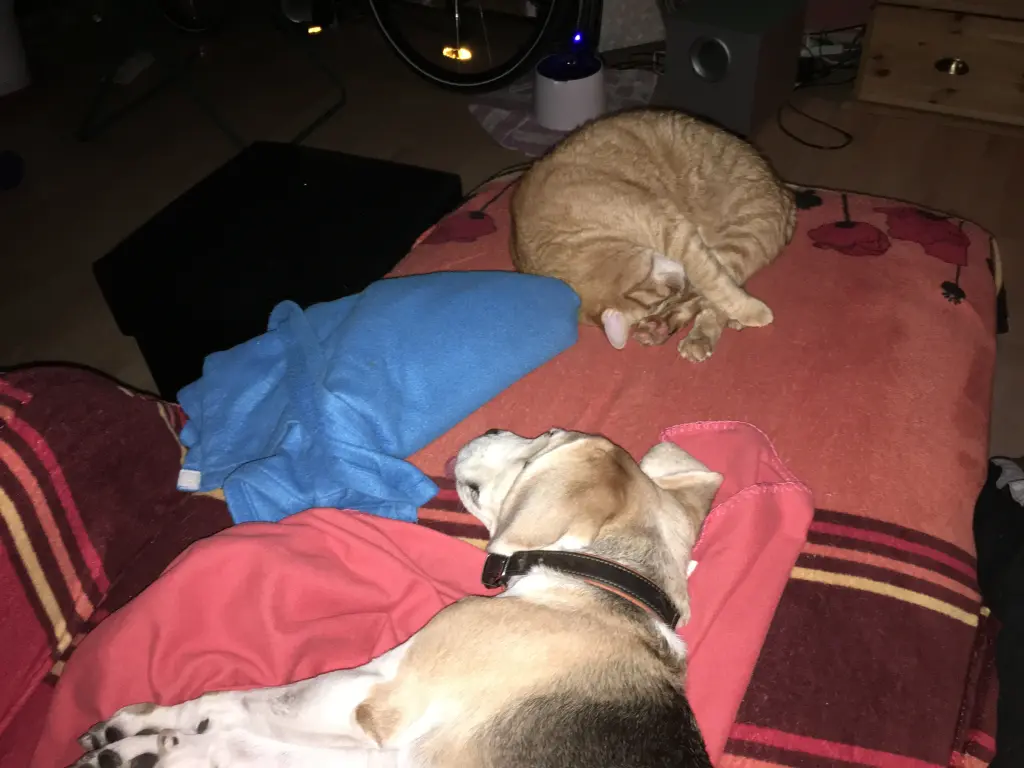 Condolence image of Unbekannt