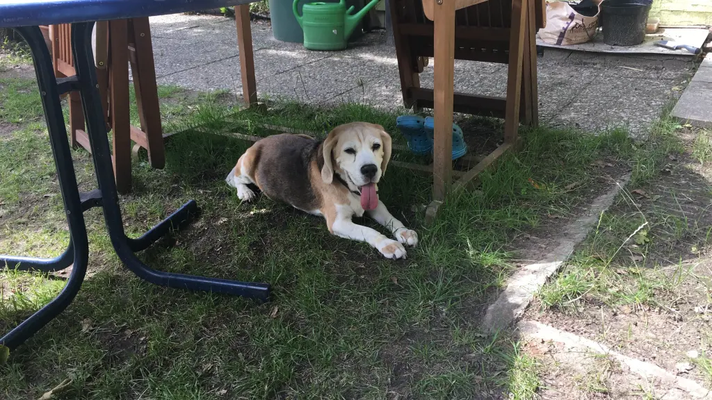 Condolence image of Christina