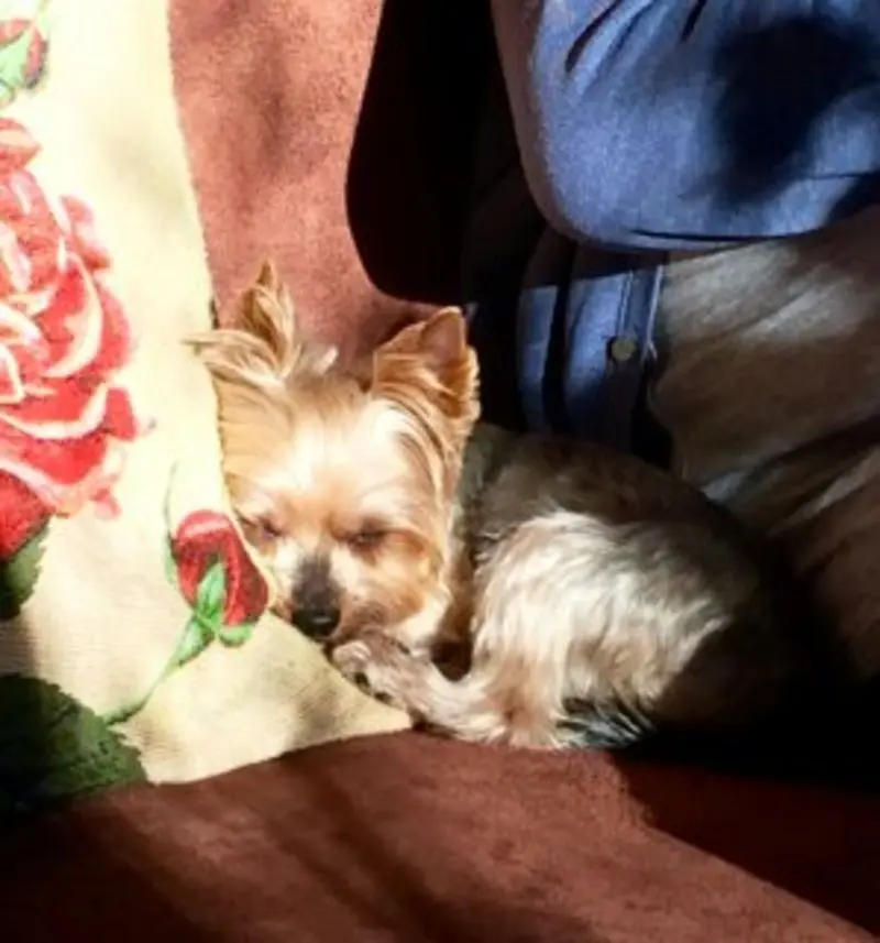Condolence image of Oliver