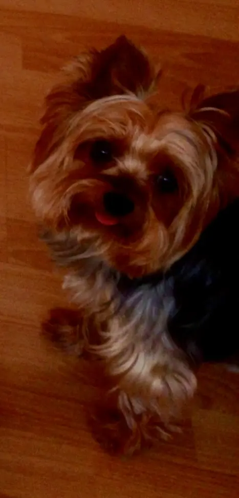 Condolence image of Oliver
