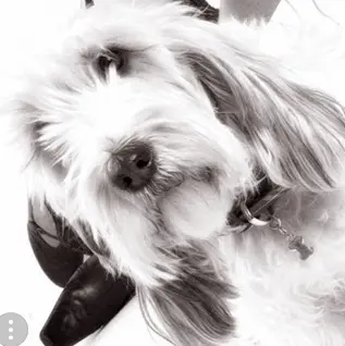 Image from Paula
