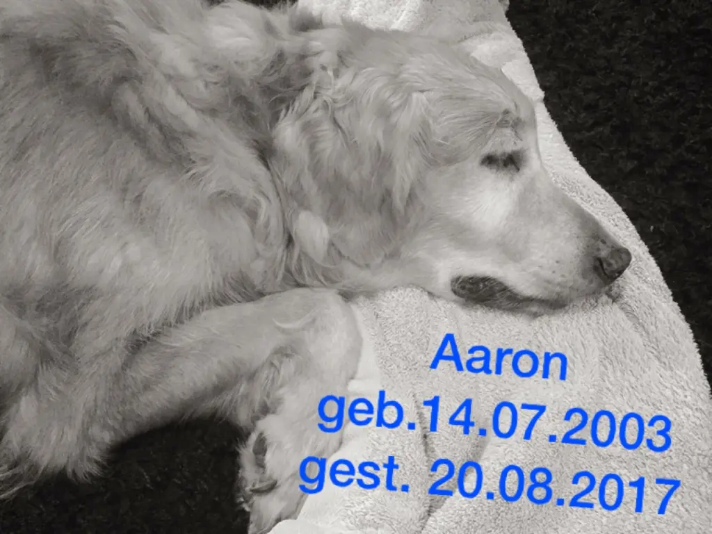 Image from Aaron