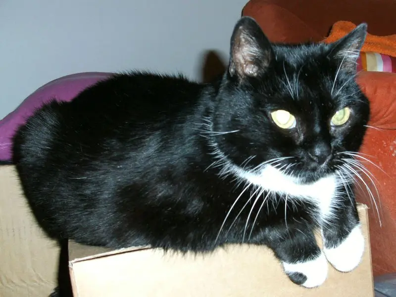 Condolence image of Jeanne - Marie