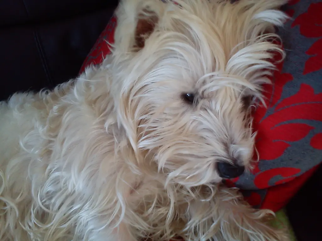 Condolence image of Richard