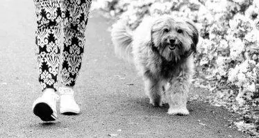 Condolence image of Luisa