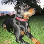 Andachtsbild von Waltraud mit Ayca im ❤️