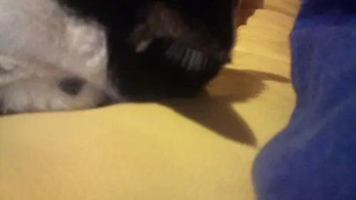 Image from Winnie <3 <3