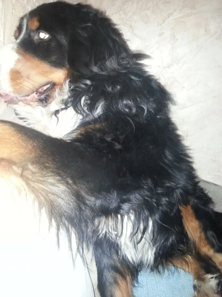 Condolence image of Ulrike mit Harry im Herzen