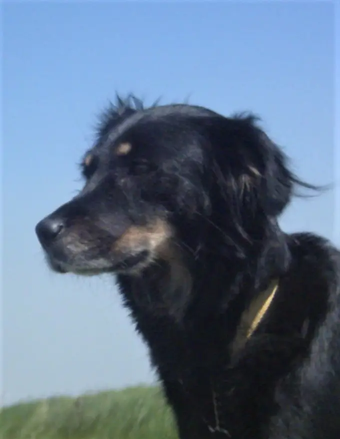 Condolence image of Unbekannt