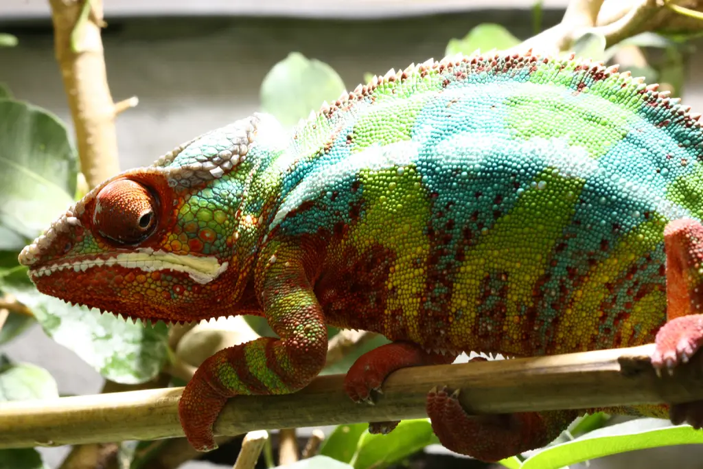 Condolence image of Angela