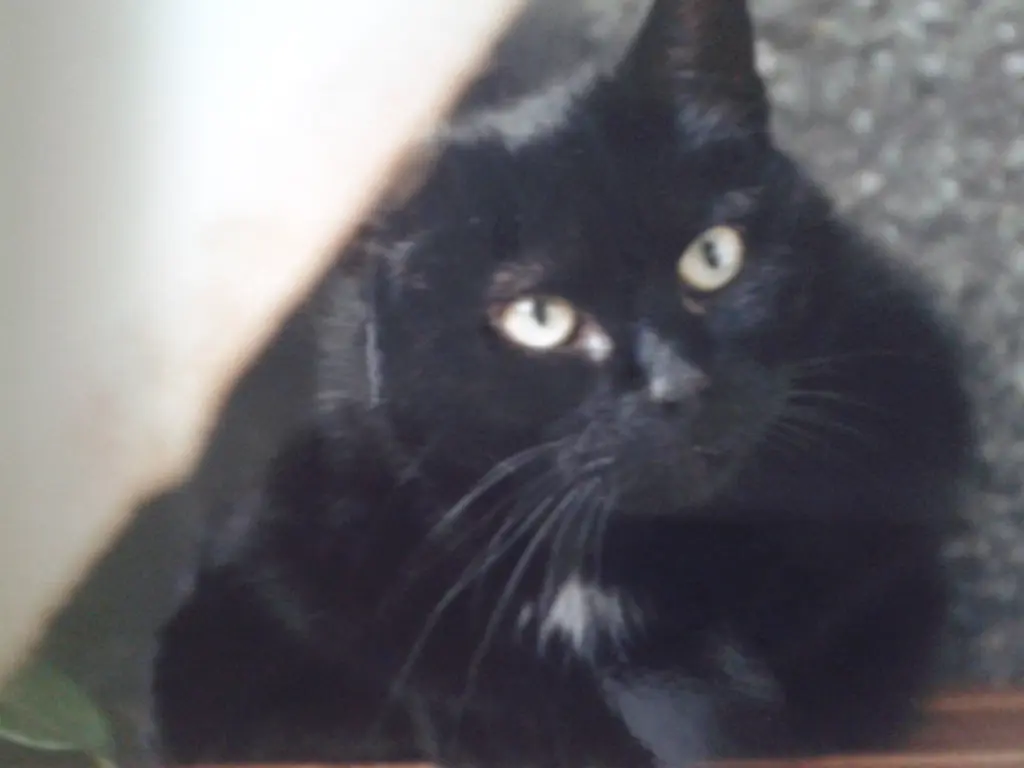 Condolence image of Jutta Kühn