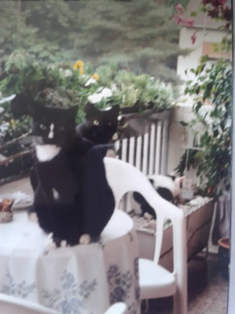 Condolence image of Jutta Kühn