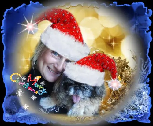 Image from meinen Herzenshund Sina