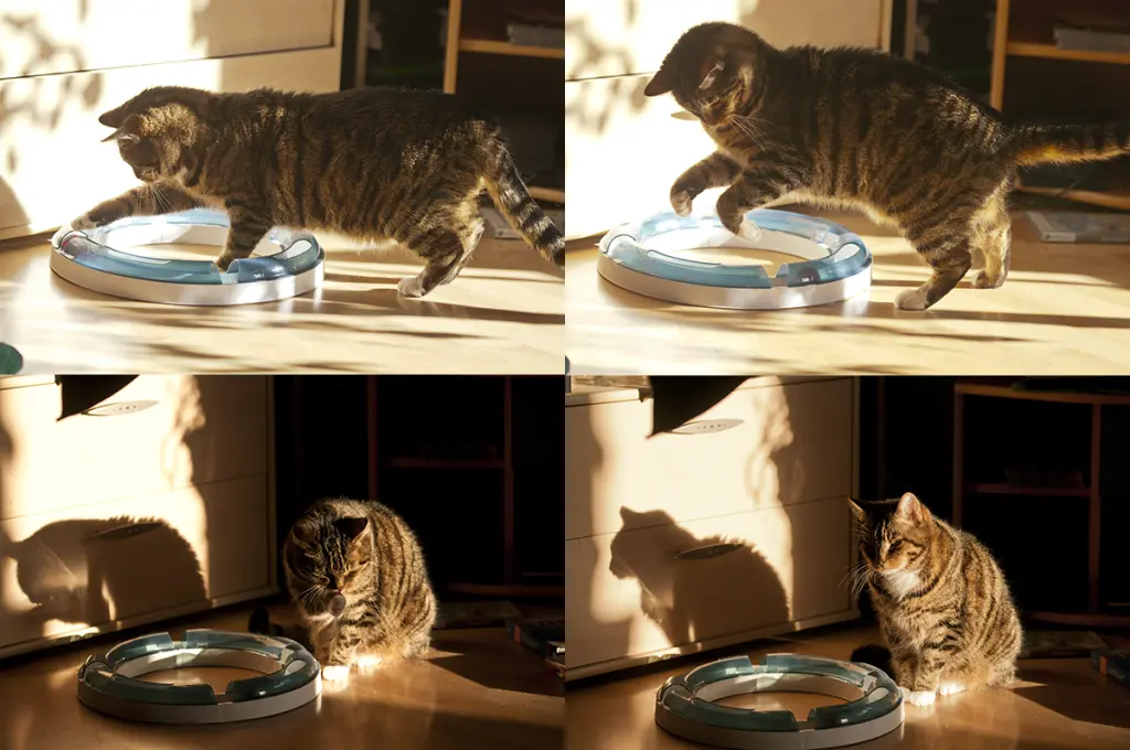 Condolence image of Melane