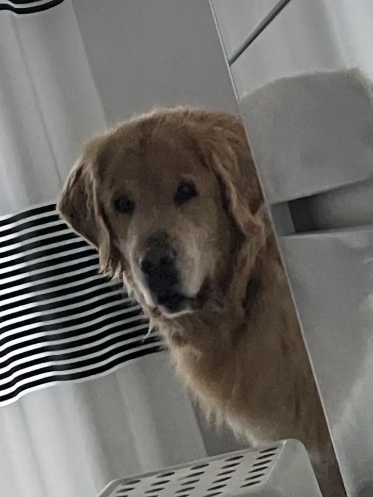 Andachtsbild von Angelika mit Luna ❤️ + 02.03.2023