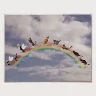 Condolence image of Unbekannt