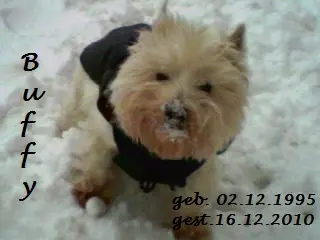 Image from Buffy