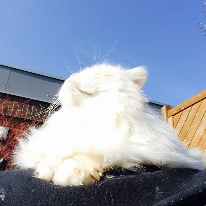 Condolence image of Unbekannt