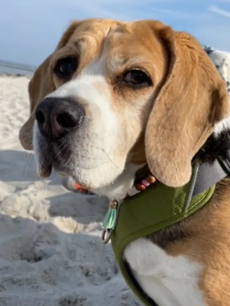 Condolence image of Für Taxi♥️