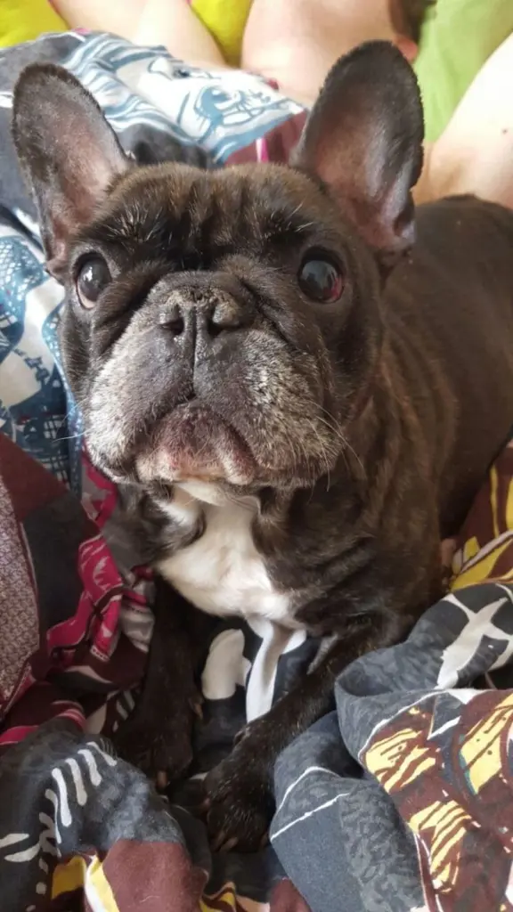 Condolence image of Felicitas