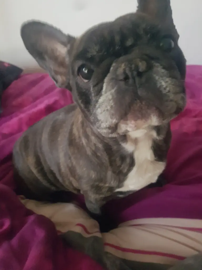 Condolence image of Nikolai