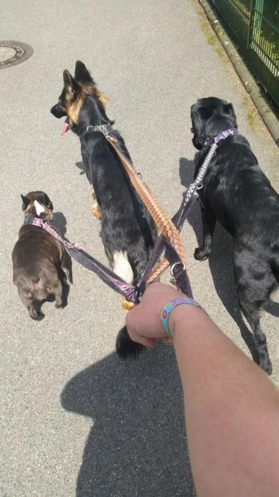 Condolence image of Christina