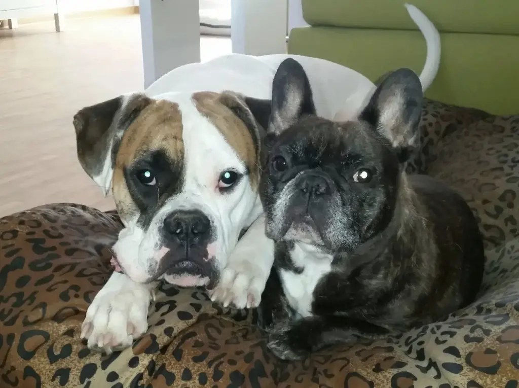 Condolence image of Nadine