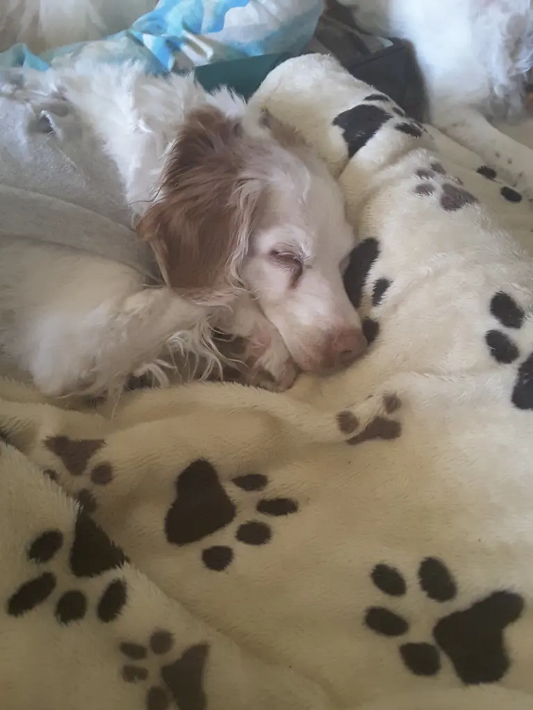 Condolence image of Unbekannt