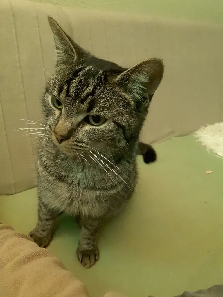 Condolence image of Christine Kienle