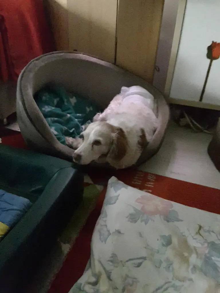 Condolence image of Unbekannt