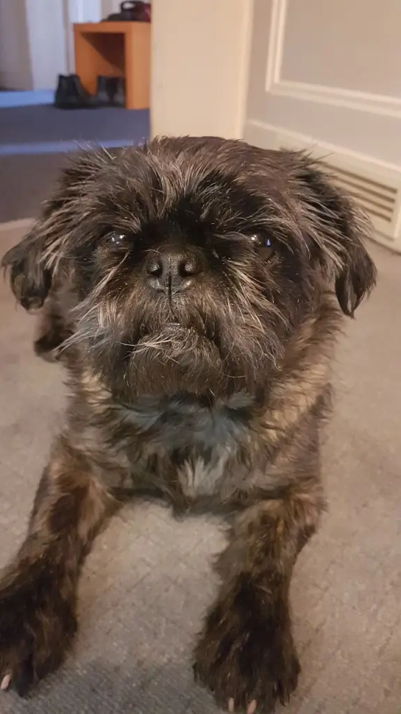 Condolence image of Karen