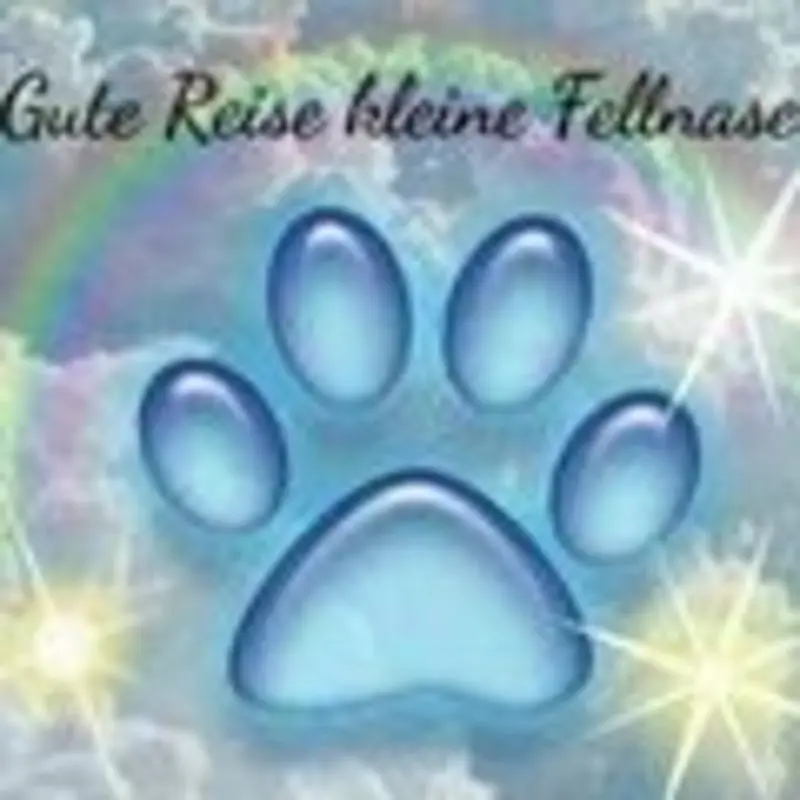 Condolence image of Jutta mit Purzel