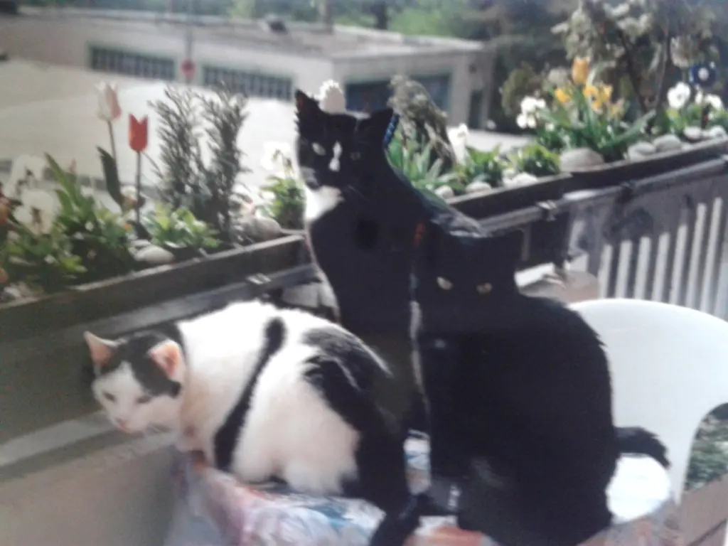 Andachtsbild von Jutta Kühn