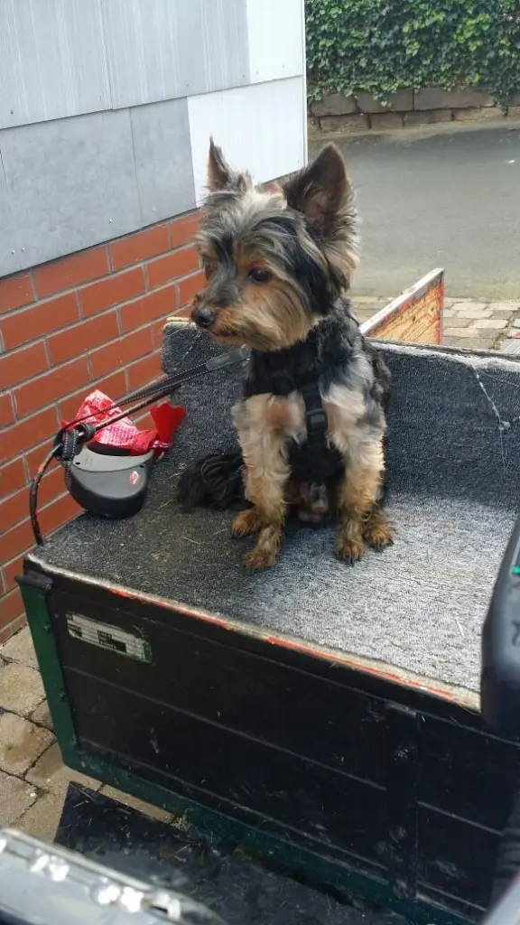 Condolence image of Meryem&Jemie