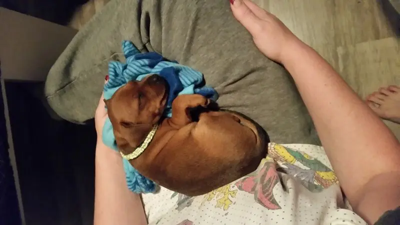 Condolence image of Otto Angela