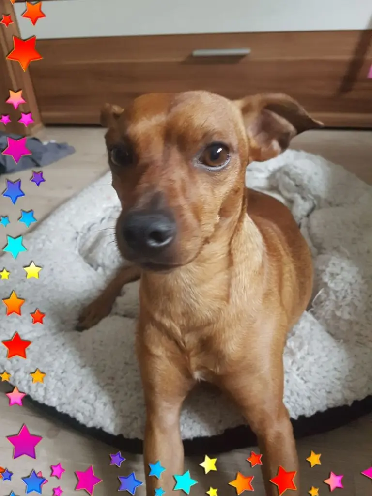 Condolence image of Angela  Otto