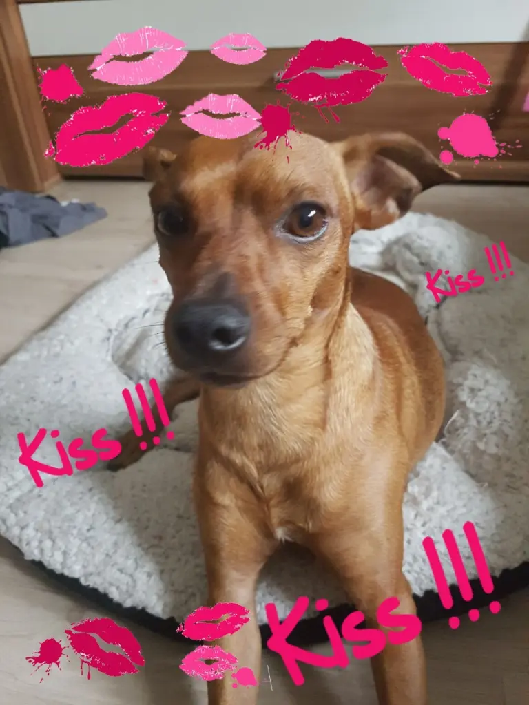 Condolence image of Angela  Otto