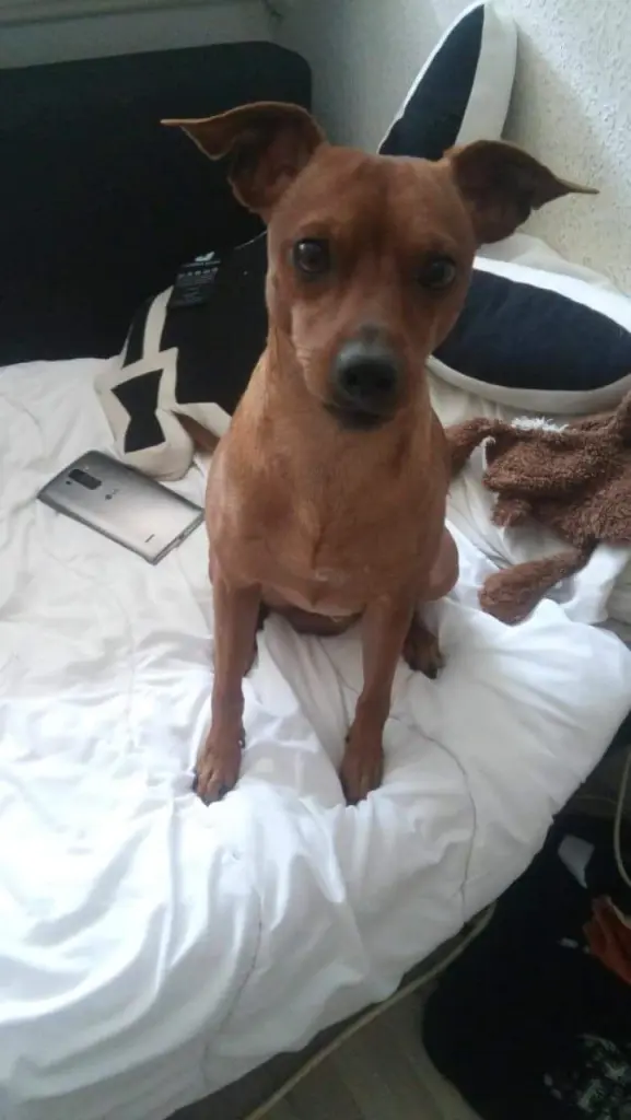 Condolence image of Otto Amgela