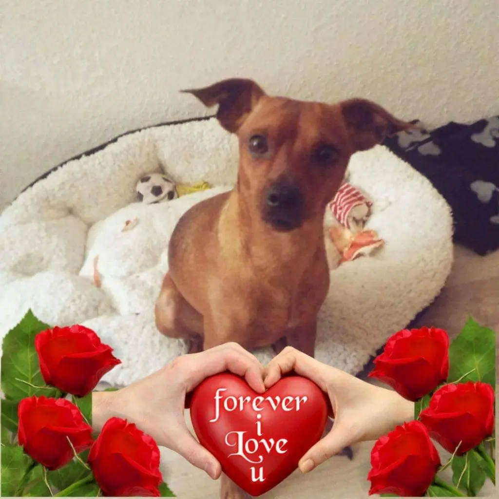 Condolence image of Otto Amgela