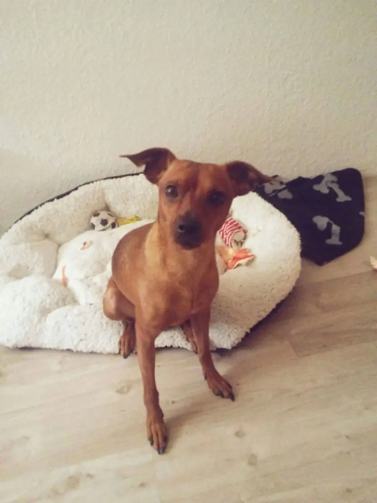 Condolence image of Otto Amgela