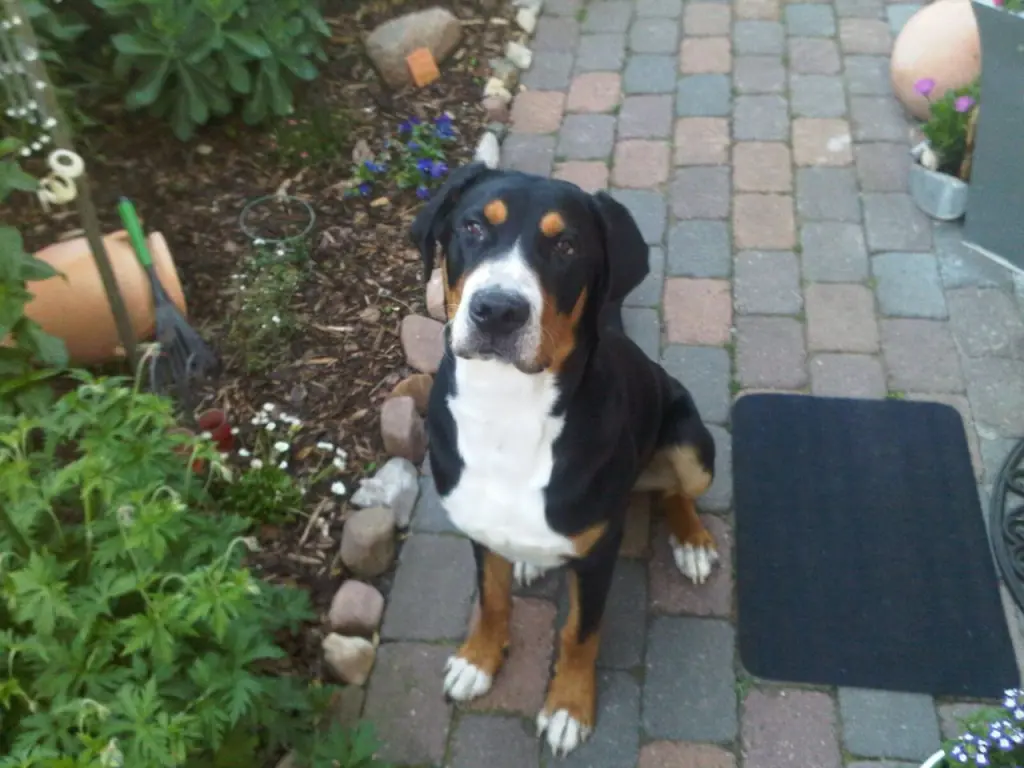 Condolence image of Maik und Regina