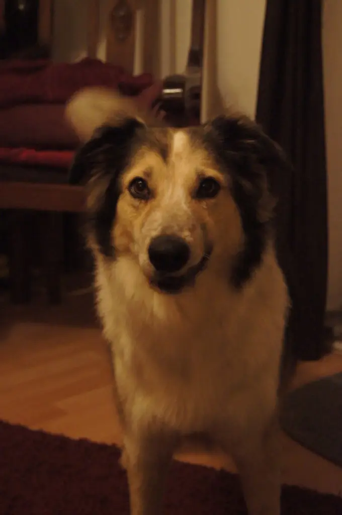 Condolence image of Marita